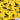 Pattern of wolves and palm trees on a yellow background with 'Island Style Clothing' branding.