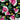 Pattern of watermelon slices, leaves, and flowers on a black background with 'Island Style Clothing' branding.