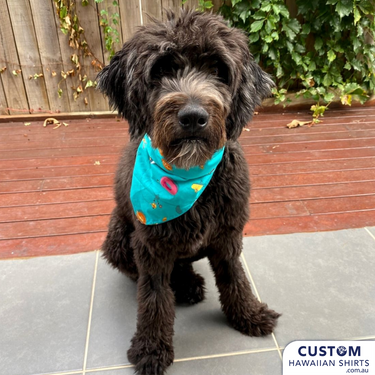 Tiny Mountain Brewery custom pet Bandanas