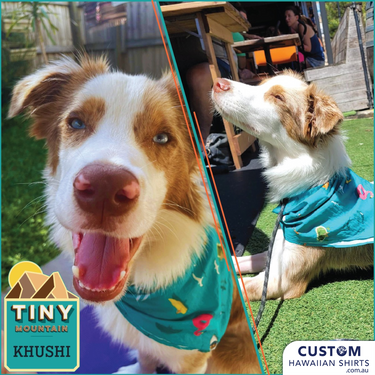 custom pet Bandanas
