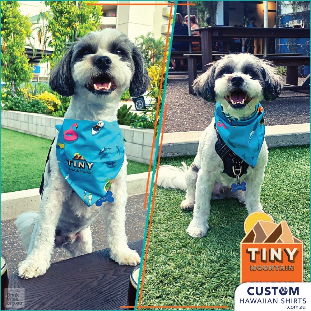 These cool custom pet Bandanas were made to match the Custom Hawaiian Shirts & Shorts for Tiny Mountain Brewery, Townsville.  100% Soft Rayon