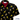 Hornsby Rugby Club 'Busted Lions' requested two versions of Customized Apparel. We designed and supplied them in mens, womens and childrens shirts sizes as well as mens shorts. 100% Cotton Coconut buttons