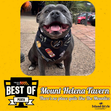 These cool custom pet Bandanas were made to match the Custom Hawaiian Shirts we designed and made for Mt Helena Tavern, WA featuring 'Fatty' their resident staffy and some Aussie gum leaves. Doesn't get much more Australian than this.