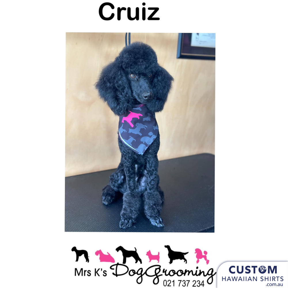 These cool custom pet Bandanas were made to match the Custom Hawaiian Shirts & Kaftan as Uniforms for Mrs K's Grooming in Tokoroa, New Zealand.  The design is their logo and to make it obviously 'Kiwi' we added in a NZ Pohutukawa flower, also known as NZ Christmas tree.