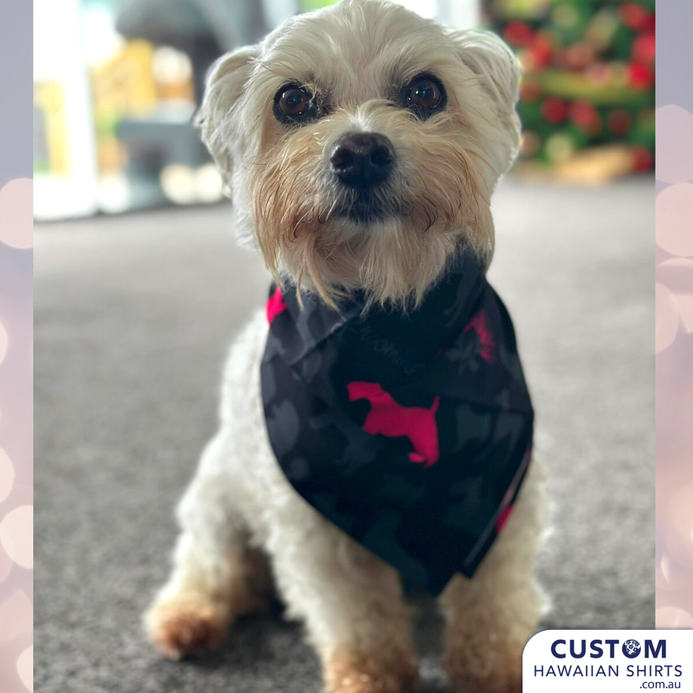 Custom made top shirts for dogs